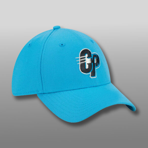 Carolina Panthers CP Logo Hat Cap