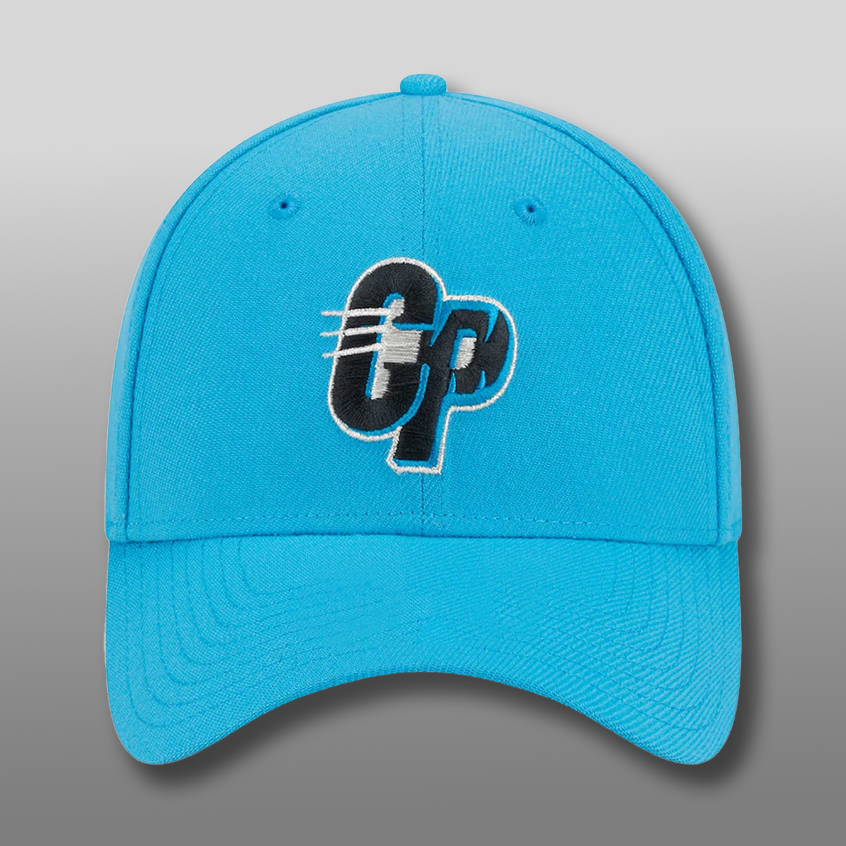 Carolina Panthers CP Logo Hat Cap Carolina Panthers CP Logo Hat Cap